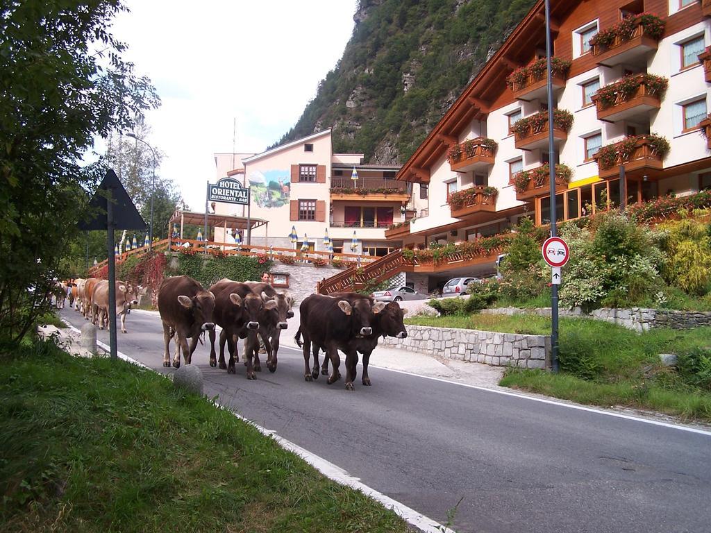 Alps Oriental Wellness Hotel 坎波多尔奇诺 外观 照片